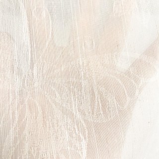 Gossamer Butterflies Ivory Striped Floral Voile Curtain