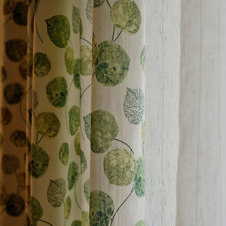 La Rideau Feuille de Eucalyptus Moment Vert 4