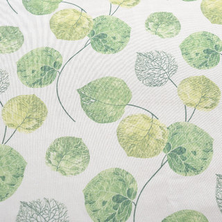 La Rideau Feuille de Eucalyptus Moment Vert 8