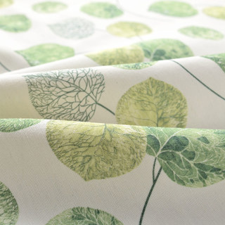 La Rideau Feuille de Eucalyptus Moment Vert 7