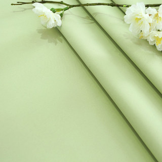 Rideau en Voile Doublé Touch Of Grace Vert, Rideau Voile Brodé avec Doublure Verte 4