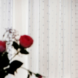 Rideau Voile Jacquard à Pois Blanc Classique 5