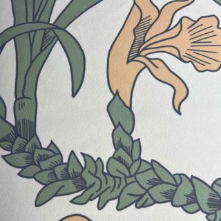 Botanica Crème Rayée Floral Rideau en Velours 3