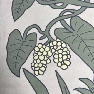 Botanica Crème Rayée Floral Rideau en Velours 2