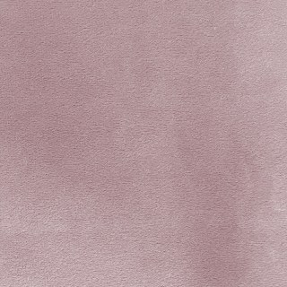 Majesté Matte Rideau de velours rose foncé 4