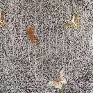 Winged Whisper Embroidered Butterfly Gray Mesh Net Curtain 2