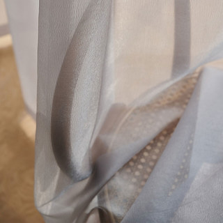 Sand Dune Textured Shimmering Light Gray Organza Sheer Curtain 3