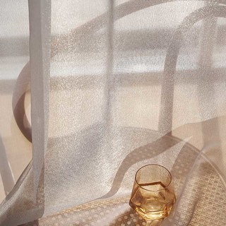 Sand Dune Textured Shimmering Light Gray Organza Sheer Curtain